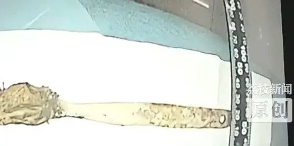 DƬ